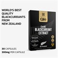 All Blacks CurraNZ Blackcurrant Extract 