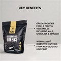 All Blacks Performance Greens 