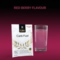 Carb Fuel 