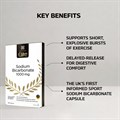 Sodium Bicarbonate 