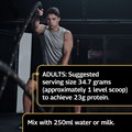 All Blacks Plant Protein Vegan Blend − Vanilla 
